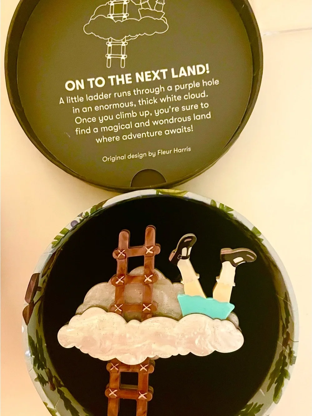NIB Erstwilder On To The Next Land Brooch